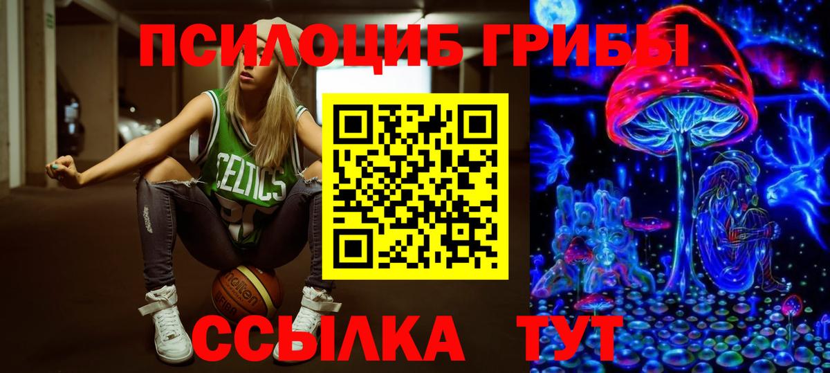 Галлюциногенные грибы мицелий Минеральные Воды