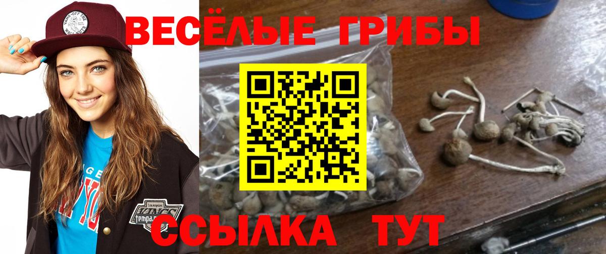 Галлюциногенные грибы MAGIC MUSHROOMS  Вход с VPN  Минеральные Воды 